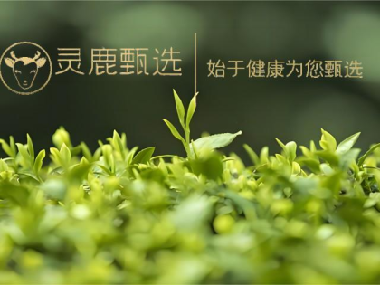 灵鹿甄选