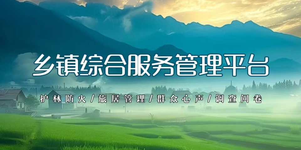 乡镇综合服务管理平台