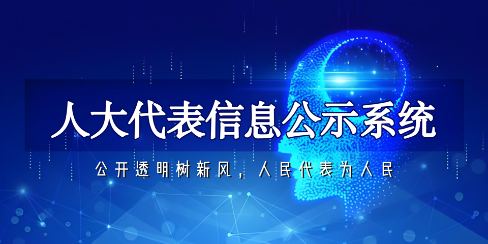 人大代表信息公示系统